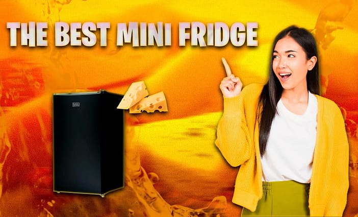 The Best Mini Fridge For a Cheese Cave